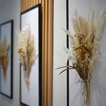 Taushani Apartment,