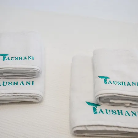 Apartmán Taushani Apartment,