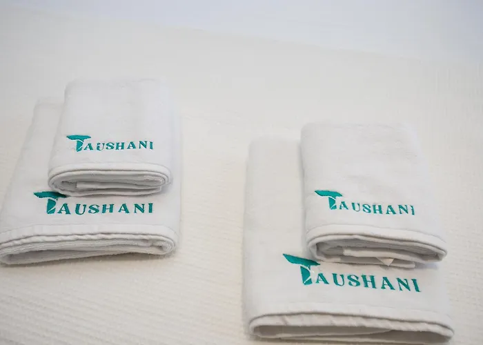 Appartement Taushani Apartment,